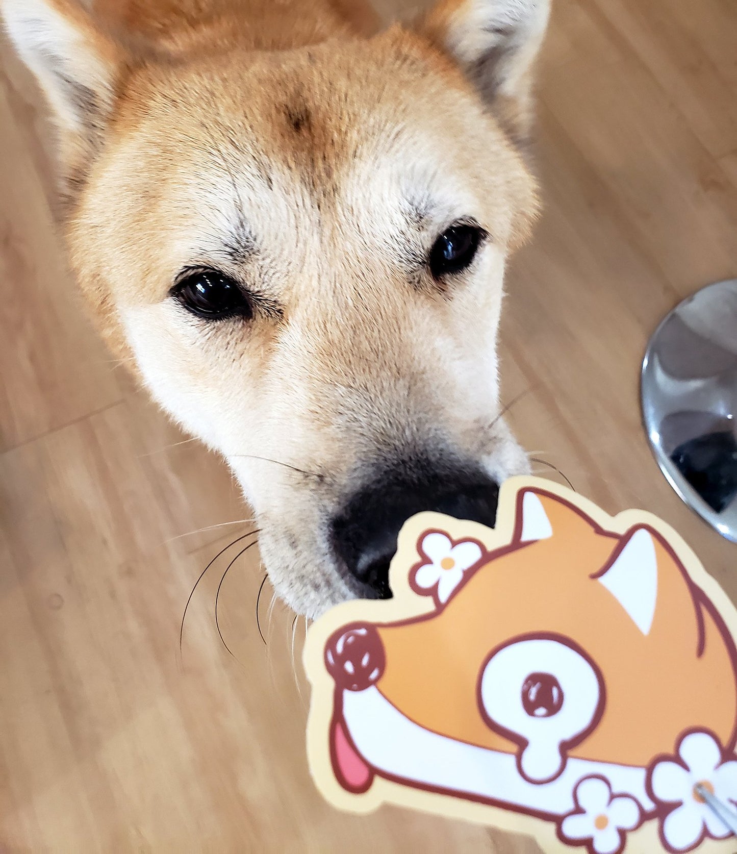 Sad Doge Vinyl Sticker
