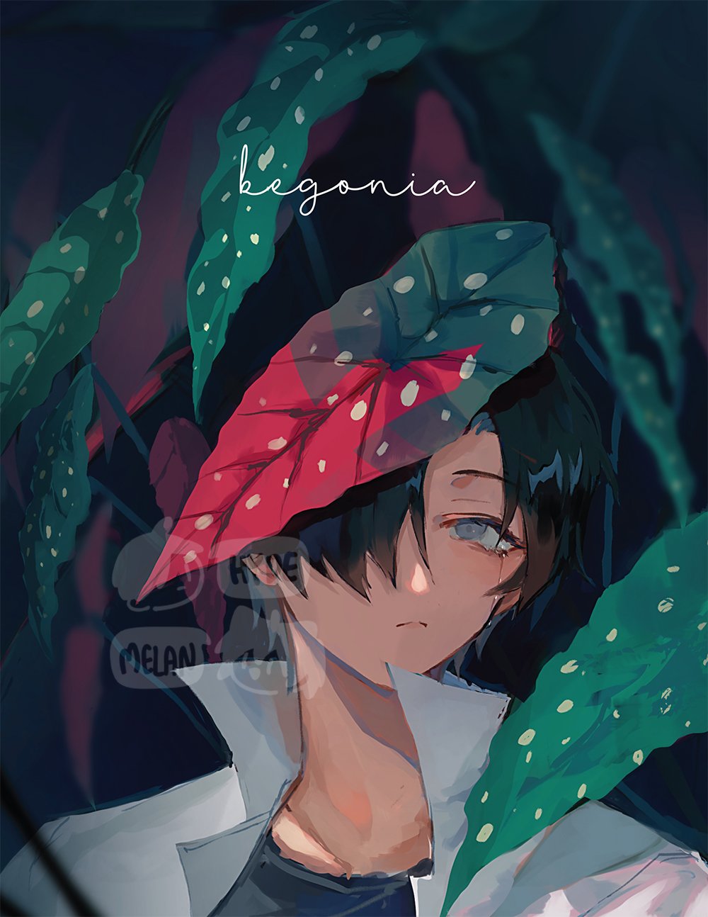 Begonia (Original) 8.5"x11" Poster Print
