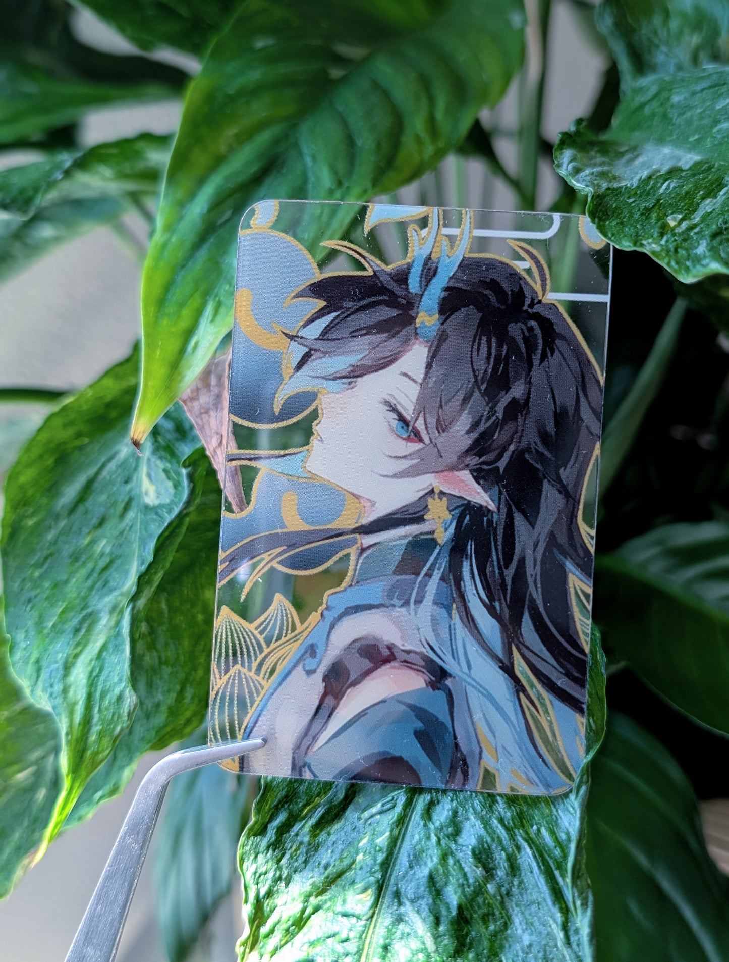 Honkai Star Rail PVC Transparent Photo Cards