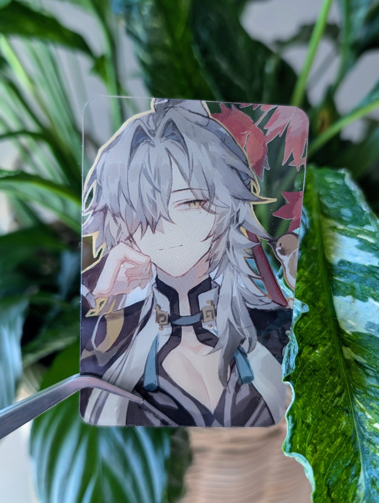Honkai Star Rail PVC Transparent Photo Cards