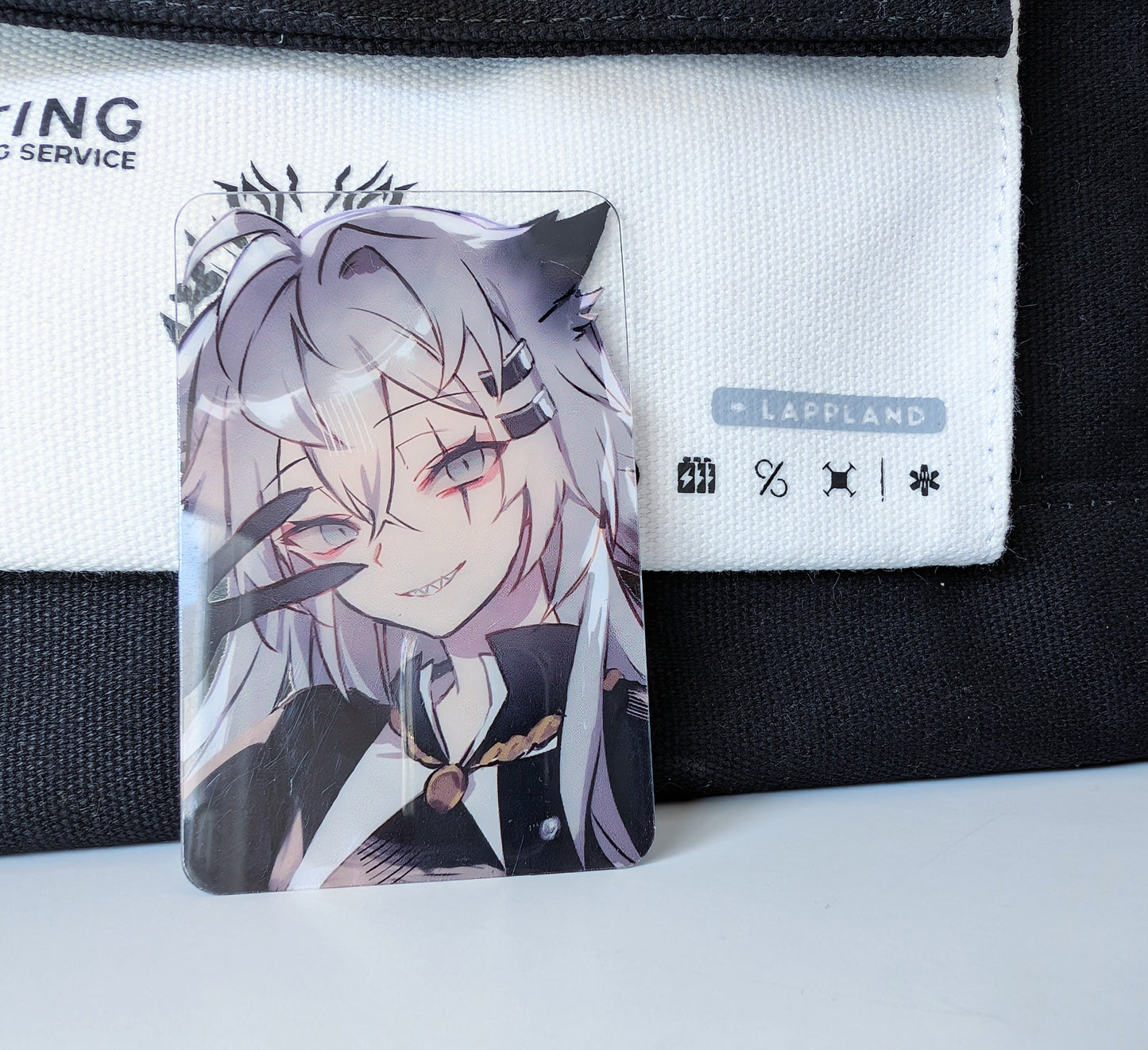 Arknights PVC Transparent Photo Cards